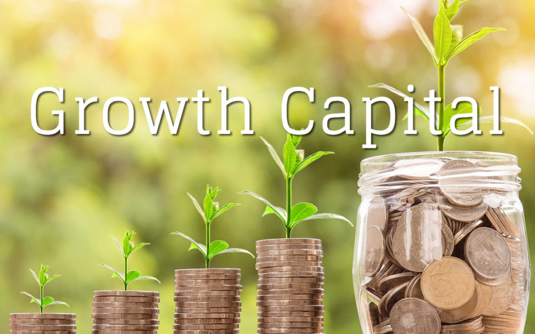 Raising Money through Crowdfunding: The First in a Series on Access to Growth Capital