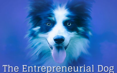 The Entrepreneurial Dog – Part VII